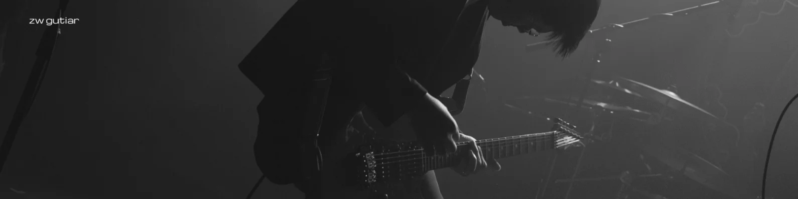 zw.guitar